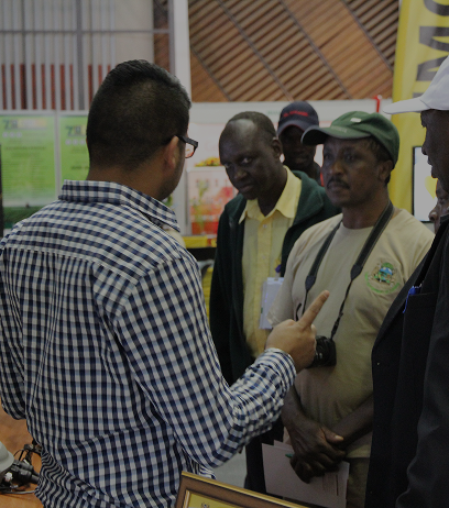 Team advising customers