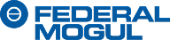 Federal Mogul